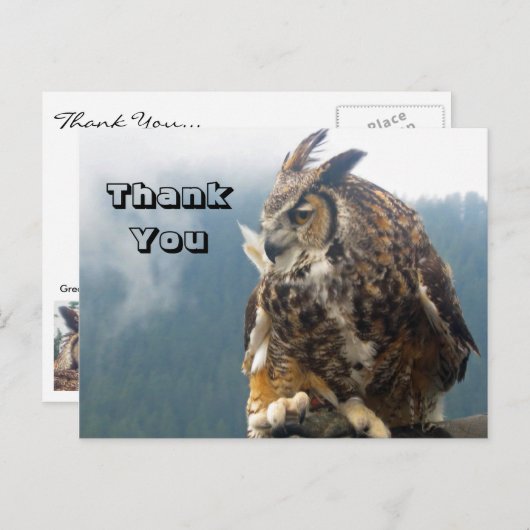 フクロウ素晴らしハガキ ポストカード (正面/裏面)