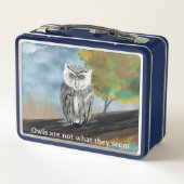 フクロウ絵を描の自然疑問に思 メタルランチボックス (裏面)