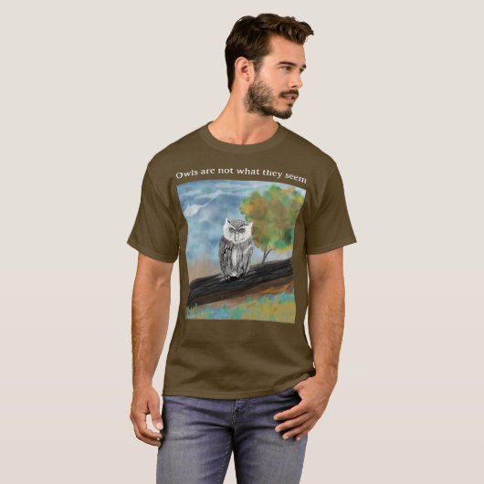 フクロウ絵を描の自然疑問に思 Tシャツ (正面フル)