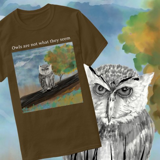 フクロウ絵を描の自然疑問に思 Tシャツ