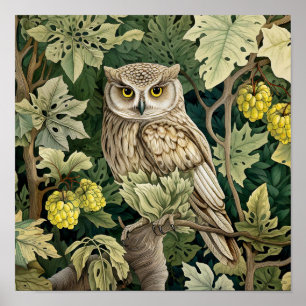 フクロウ絵画装飾品 ポスター