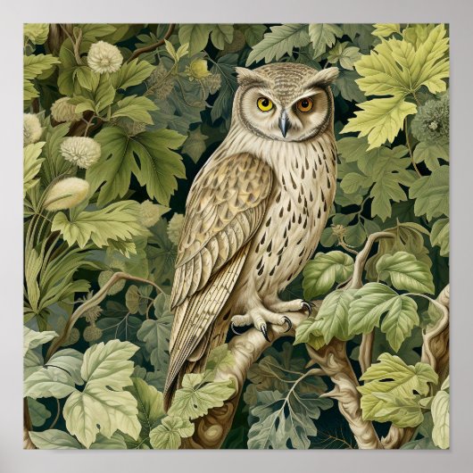 フクロウ絵画装飾品 ポスター (正面)