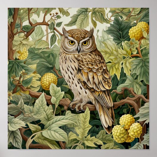 フクロウ絵画装飾品 ポスター (正面)