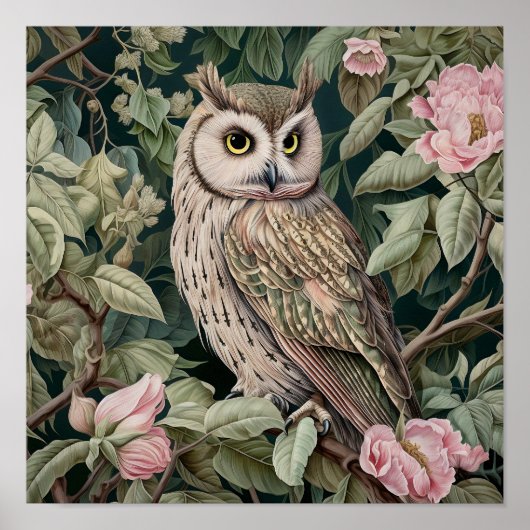 フクロウ絵画装飾品 ポスター (正面)