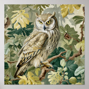 フクロウ絵画装飾品 ポスター
