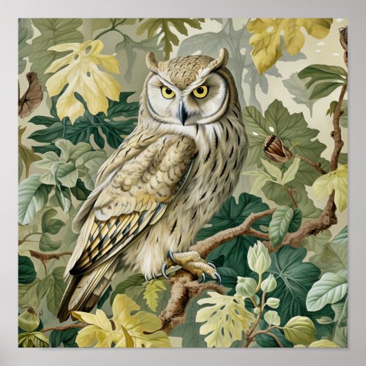フクロウ絵画装飾品 ポスター (正面)