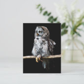 フクロウ色の葉書 ポストカード (スタンド正面)