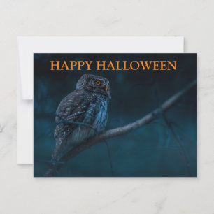 フクロウ葉書とハロウィーンの怖い夜 ポストカード