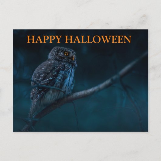 フクロウ葉書とハロウィーンの怖い夜 ポストカード (正面)