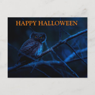 フクロウ葉書とハロウィーンの怖い夜 ポストカード