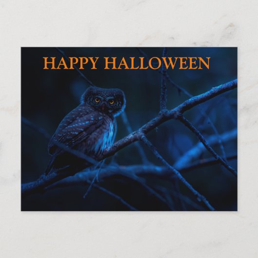 フクロウ葉書とハロウィーンの怖い夜 ポストカード (正面)