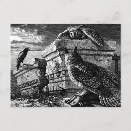 フクロウ葉書の同伴 ポストカード