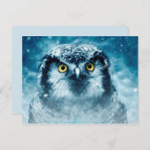 フクロウ葉書 ポストカード (正面/裏面)