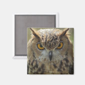 フクロウ角磁石 マグネット (正面/裏面)