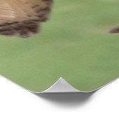 フクロウ飛行中 ポスター (角)