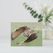 フクロウ飛行中 ポストカード (スタンド正面)