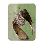 フクロウ飛行中 マグネット (縦)