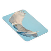 フクロウ飛行中 マグネット (右側)