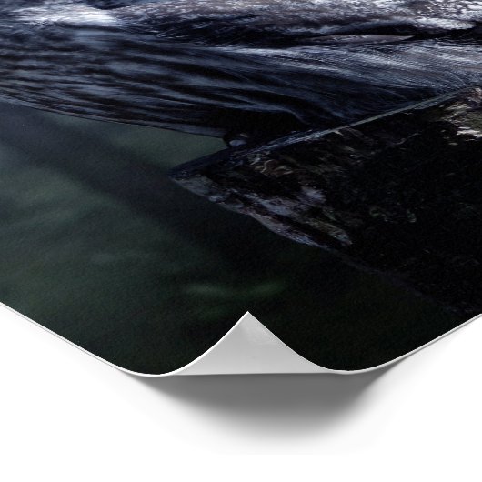 フクロウ鳥獣の森 ポスター (角)