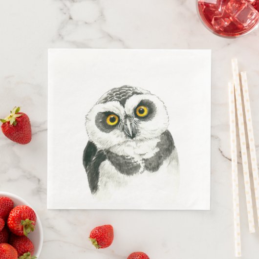 フクロウ (インサイチュ)