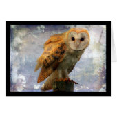 フクロウ (正面横)