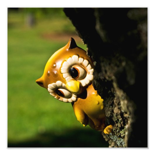 フクロウ2世を収穫する フォトプリント            (正面)