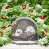 フクロウ2 (クリスマス)