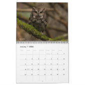 フクロウ2019年 カレンダー (1月 2026)