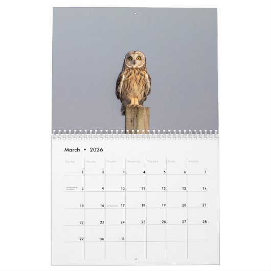 フクロウ2026 カレンダー (3月 2026)