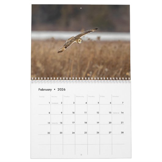 フクロウ2026 カレンダー (2月 2026)