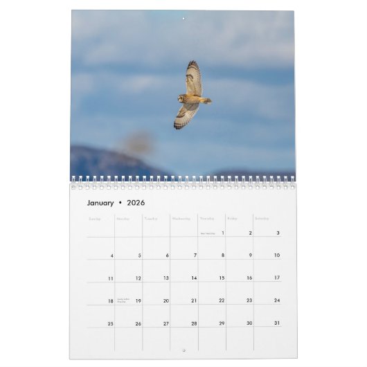 フクロウ2026 カレンダー (1月 2026)