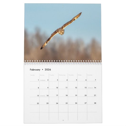 フクロウ2026 カレンダー (2月 2026)