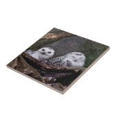 フクロウ2 タイル (側面)