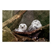 フクロウ2 ポスター (正面)