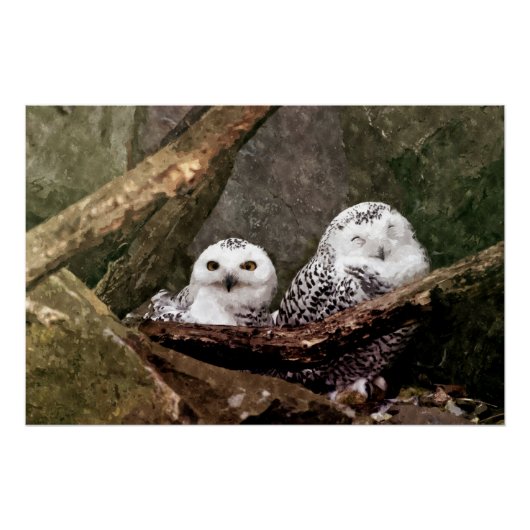 フクロウ2 ポスター (正面)