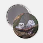 フクロウ2 マグネット (正面/裏面)