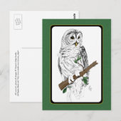 フクロウ3葉書 ポストカード (正面/裏面)