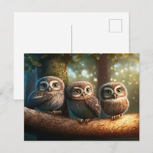 フクロウ3 ポストカード (正面/裏面)