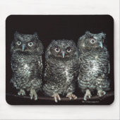 フクロウ3 マウスパッド (正面)