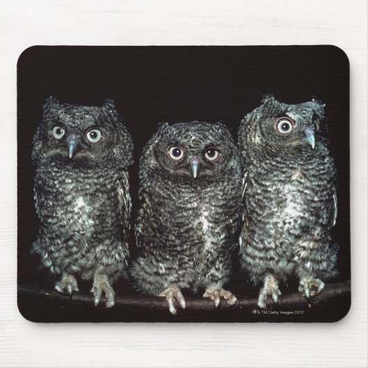フクロウ3 マウスパッド (正面)
