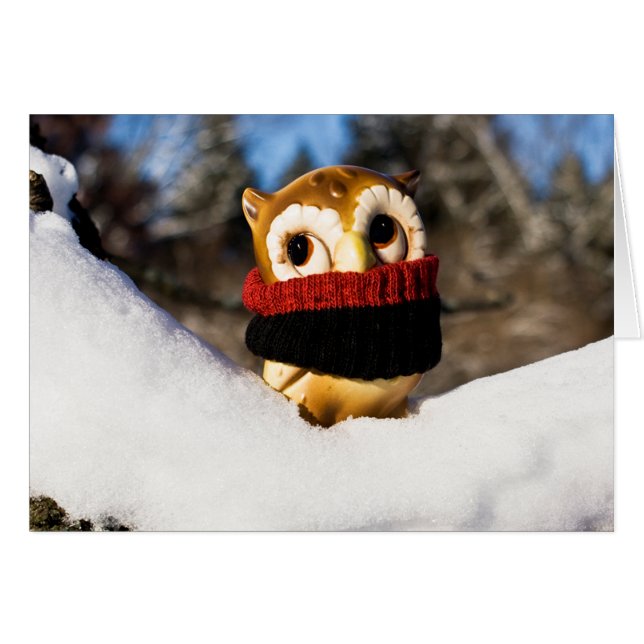 フクロウ4世を収穫する (正面横)