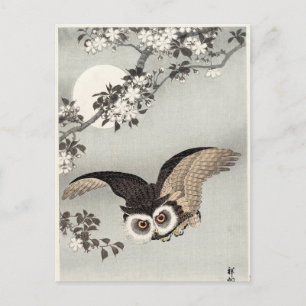 フクロウ、さくらんぼの花、月 – 大原光尊 ポストカード