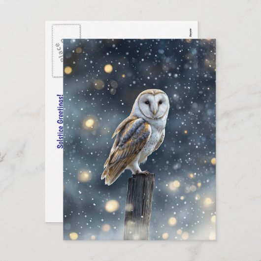 フクロウ・イン・スノーウィンター至 シーズンポストカード (正面/裏面)