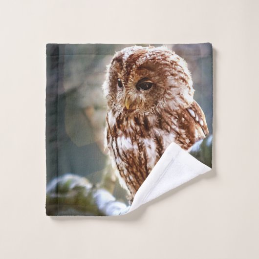 フクロウ ウォッシュタオル (ウォッシュタオル)