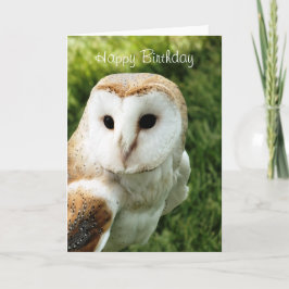 フクロウ カード