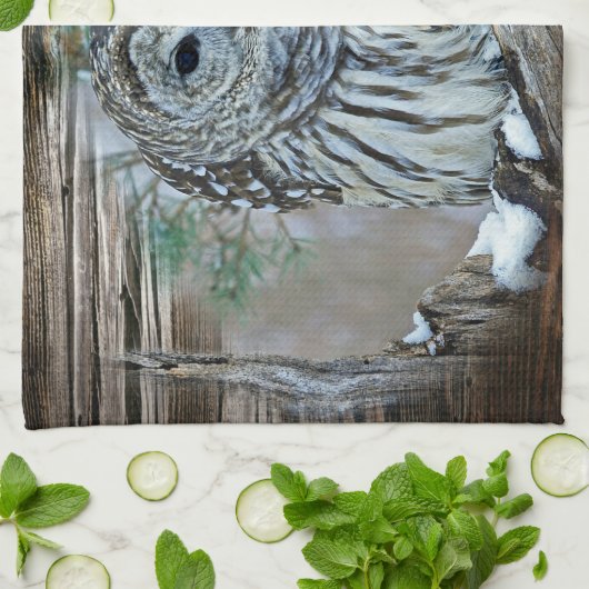 フクロウ キッチンタオル (折り畳み)