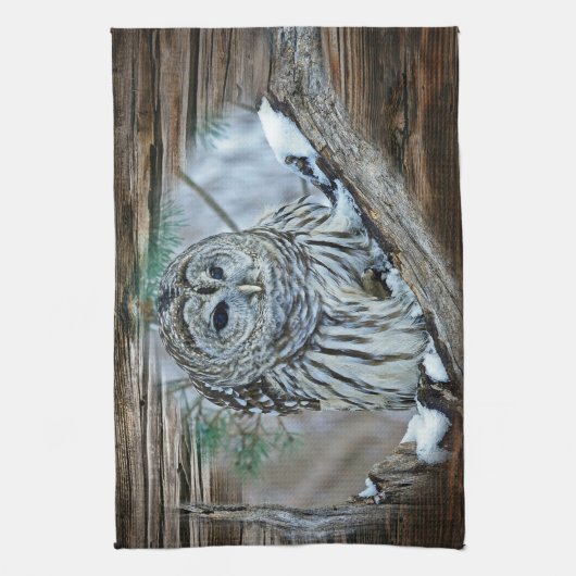 フクロウ キッチンタオル (縦)