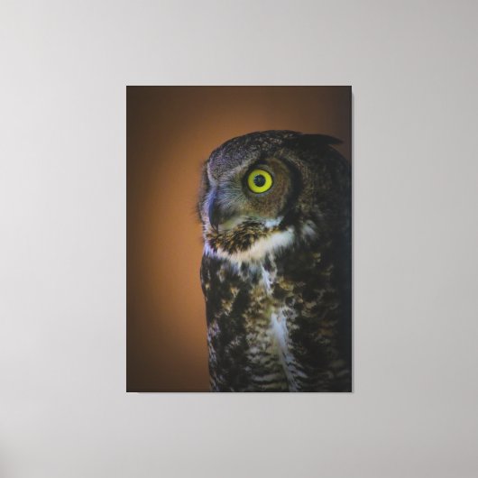 フクロウ キャンバスプリント (正面)