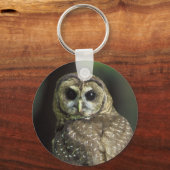 フクロウ キーホルダー (正面)