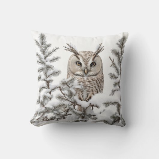 フクロウ クッション (正面)